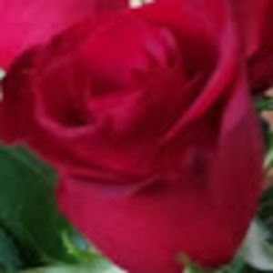 Meet your Posher, Marissa